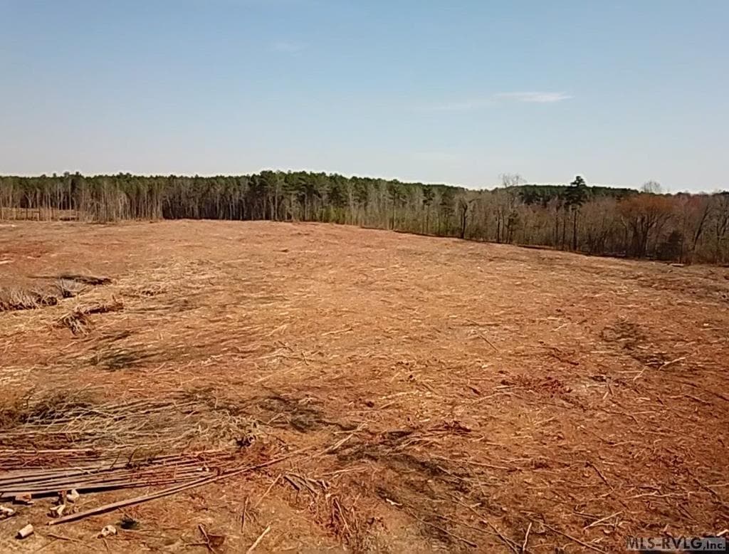 Acreage,Residential Lot-Restricted,Farm,Double Wide Permitted,Modular On Frame Permitted,Other-See Remarks,Unimproved Land at 28.14 Chalk Level Rd, Alberta VA 23821, Alberta, photo 22 of 47
