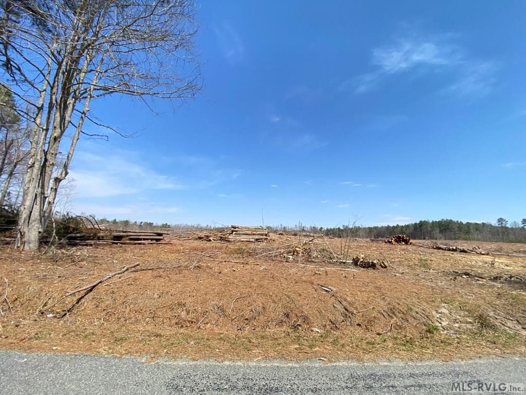 Acreage,Residential Lot-Restricted,Farm,Double Wide Permitted,Modular On Frame Permitted,Other-See Remarks,Unimproved Land at 28.14 Chalk Level Rd, Alberta VA 23821, Alberta, photo 7 of 47
