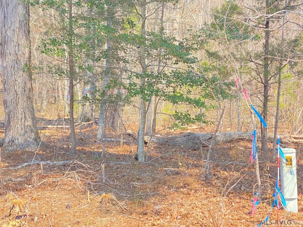 Acreage,Residential Lot-Restricted,Farm,Double Wide Permitted,Modular On Frame Permitted,Other-See Remarks,Unimproved Land at 28.14 Chalk Level Rd, Alberta VA 23821, Alberta, photo 3 of 47