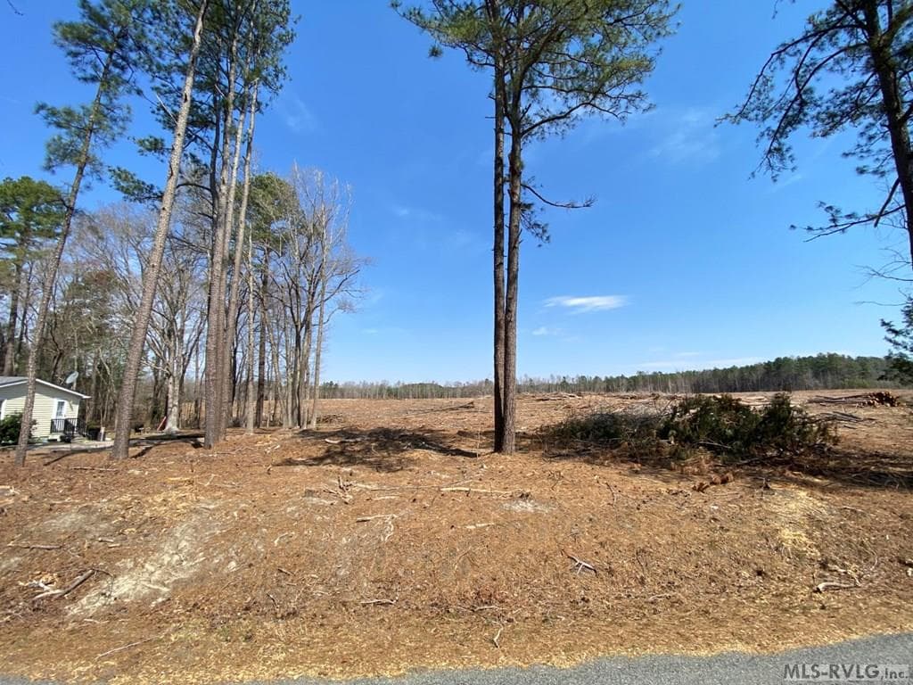 Acreage,Residential Lot-Restricted,Farm,Double Wide Permitted,Modular On Frame Permitted,Other-See Remarks,Unimproved Land at 28.14 Chalk Level Rd, Alberta VA 23821, Alberta, photo 5 of 47