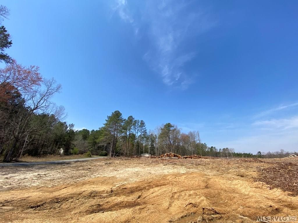 Acreage,Residential Lot-Restricted,Farm,Double Wide Permitted,Modular On Frame Permitted,Other-See Remarks,Unimproved Land at 28.14 Chalk Level Rd, Alberta VA 23821, Alberta, photo 14 of 47