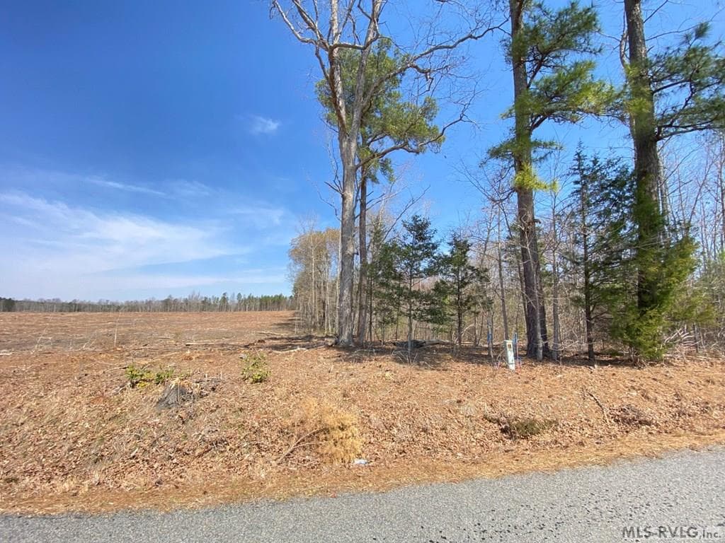 Acreage,Residential Lot-Restricted,Farm,Double Wide Permitted,Modular On Frame Permitted,Other-See Remarks,Unimproved Land at 28.14 Chalk Level Rd, Alberta VA 23821, Alberta, photo 18 of 47