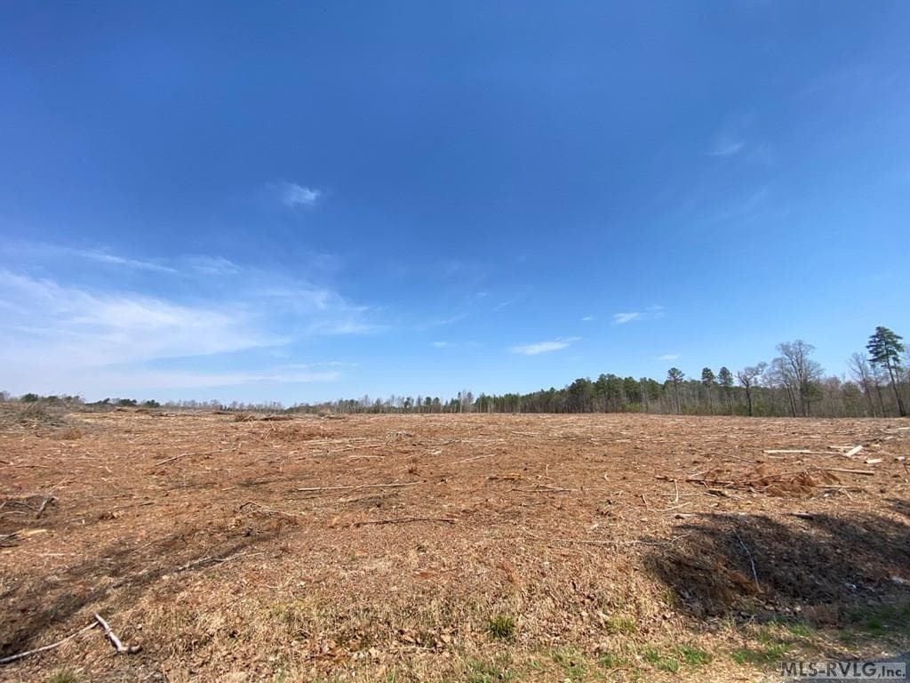 Acreage,Residential Lot-Restricted,Farm,Double Wide Permitted,Modular On Frame Permitted,Other-See Remarks,Unimproved Land at 28.14 Chalk Level Rd, Alberta VA 23821, Alberta, photo 15 of 47