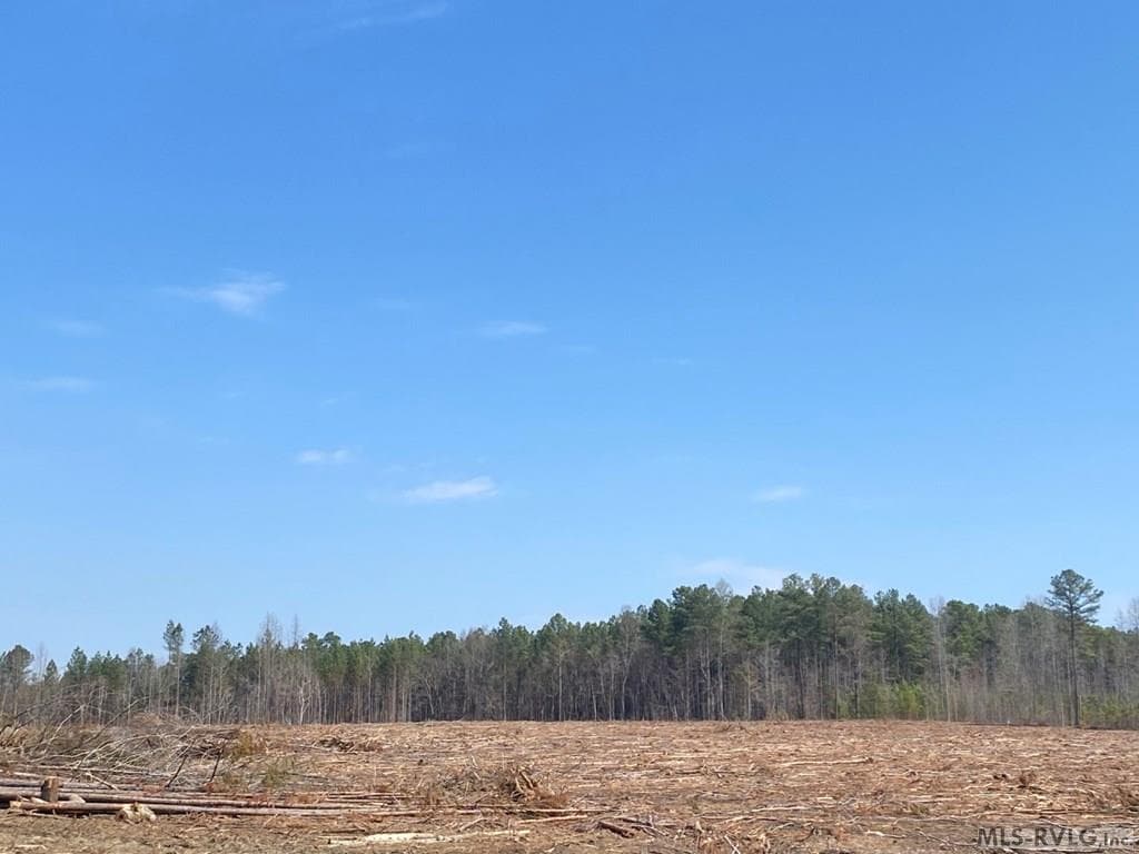 Acreage,Residential Lot-Restricted,Farm,Double Wide Permitted,Modular On Frame Permitted,Other-See Remarks,Unimproved Land at 28.14 Chalk Level Rd, Alberta VA 23821, Alberta, photo 11 of 47
