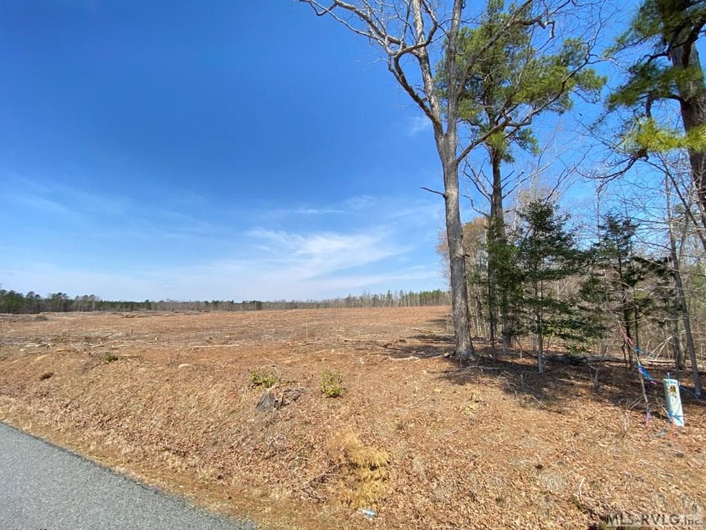 Acreage,Residential Lot-Restricted,Farm,Double Wide Permitted,Modular On Frame Permitted,Other-See Remarks,Unimproved Land at 28.14 Chalk Level Rd, Alberta VA 23821, Alberta, photo 19 of 47