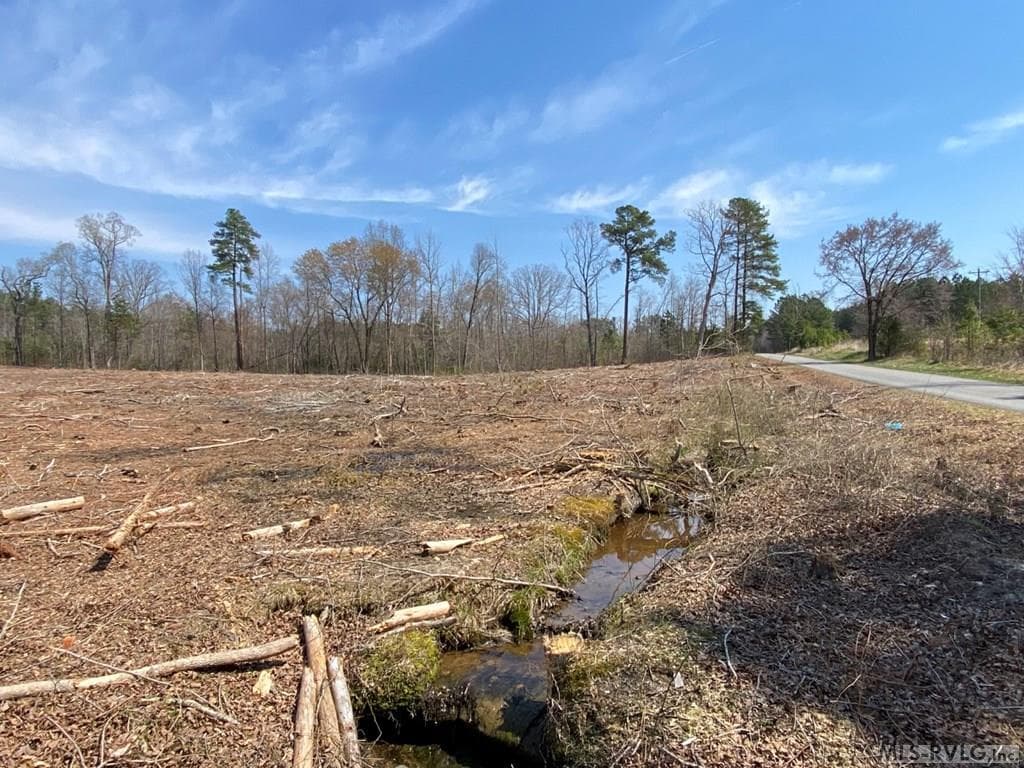 Acreage,Residential Lot-Restricted,Farm,Double Wide Permitted,Modular On Frame Permitted,Other-See Remarks,Unimproved Land at 28.14 Chalk Level Rd, Alberta VA 23821, Alberta, photo 4 of 47