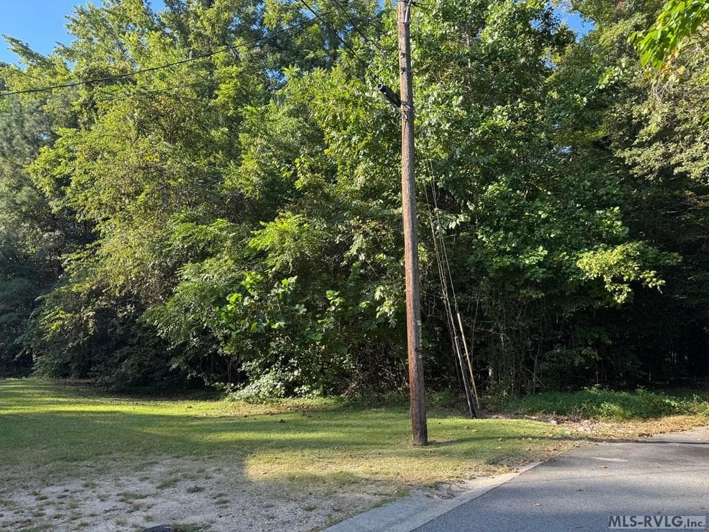 703 Andrew Street, Roanoke Rapids NC 27870 photo 2