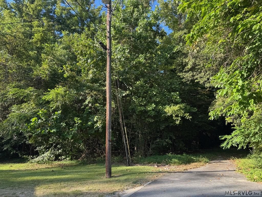 703 Andrew Street, Roanoke Rapids NC 27870 photo 3