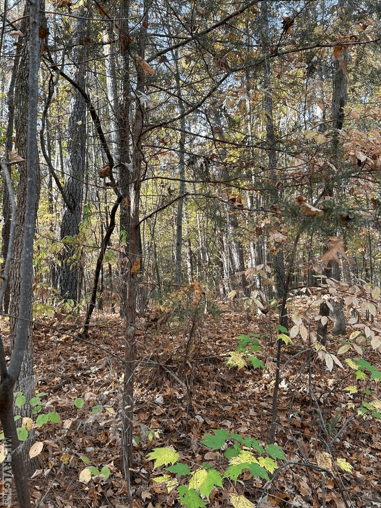 Lot 12 Greenvalley Drive, Littleton NC 27850 photo 4
