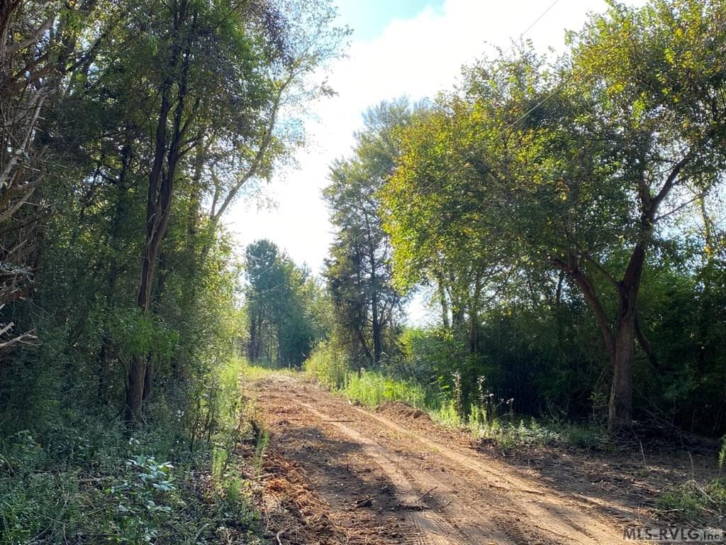 Acreage,Residential Lot-Restricted,Unimproved Land at Lot# 5 Christanna Hwy, Lawrenceville VA 23868, Lawrenceville, photo 6 of 21
