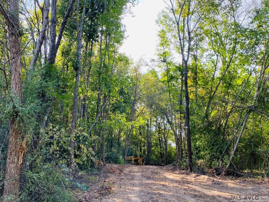 Acreage,Residential Lot-Restricted,Unimproved Land at Lot# 5 Christanna Hwy, Lawrenceville VA 23868, Lawrenceville, photo 13 of 21