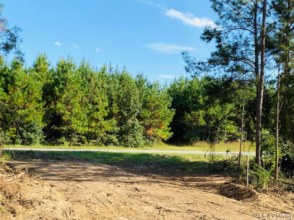 Acreage,Residential Lot-Restricted,Unimproved Land at Lot# 5 Christanna Hwy, Lawrenceville VA 23868, Lawrenceville, photo 16 of 21