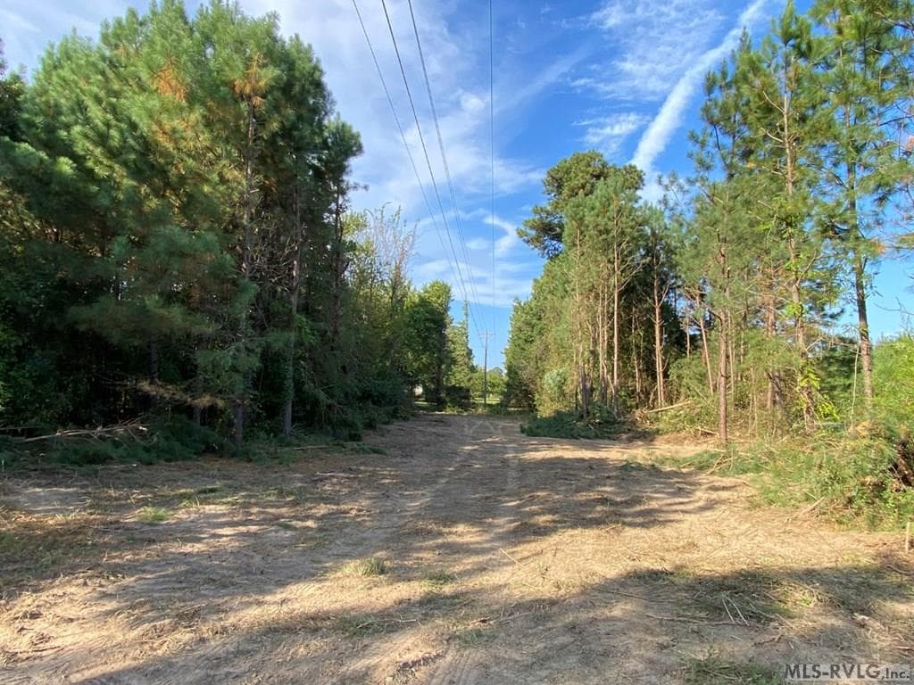Acreage,Residential Lot-Restricted,Unimproved Land at Lot# 5 Christanna Hwy, Lawrenceville VA 23868, Lawrenceville, photo 10 of 21