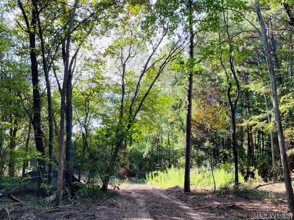 Acreage,Residential Lot-Restricted,Unimproved Land at Lot# 5 Christanna Hwy, Lawrenceville VA 23868, Lawrenceville, photo 11 of 21