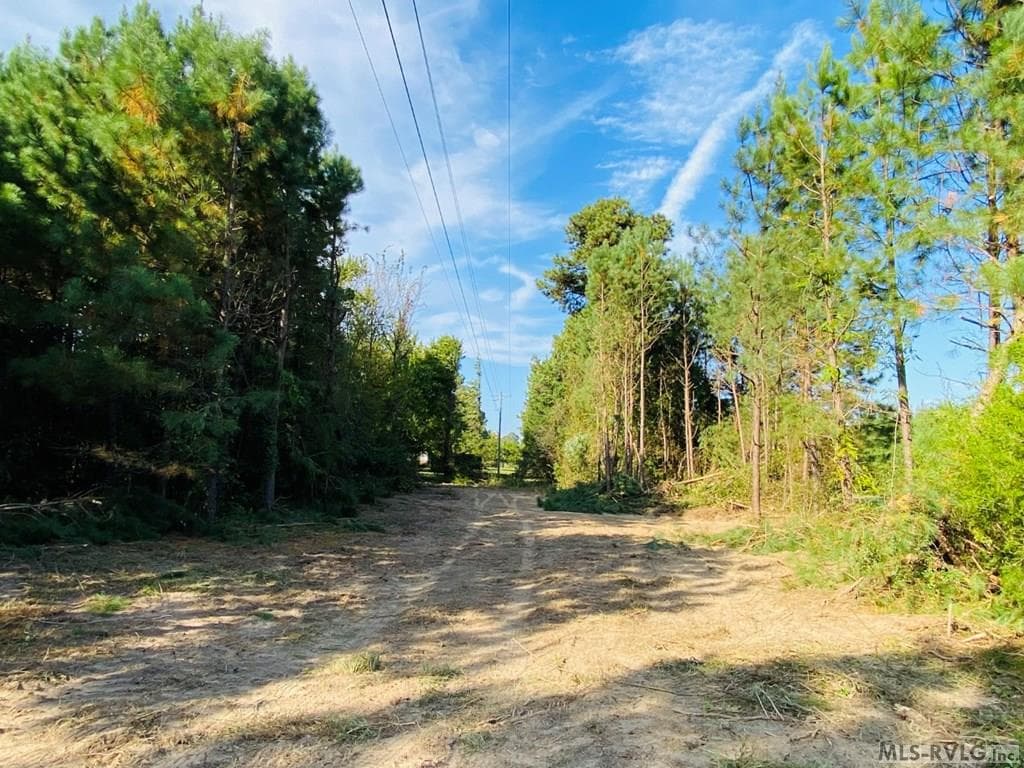 Acreage,Residential Lot-Restricted,Unimproved Land at Lot# 5 Christanna Hwy, Lawrenceville VA 23868, Lawrenceville, photo 19 of 21