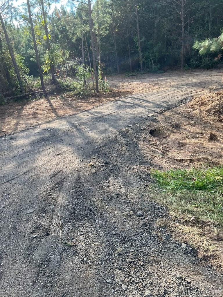 Acreage,Residential Lot-Restricted,Unimproved Land at Lot# 5 Christanna Hwy, Lawrenceville VA 23868, Lawrenceville, photo 4 of 21
