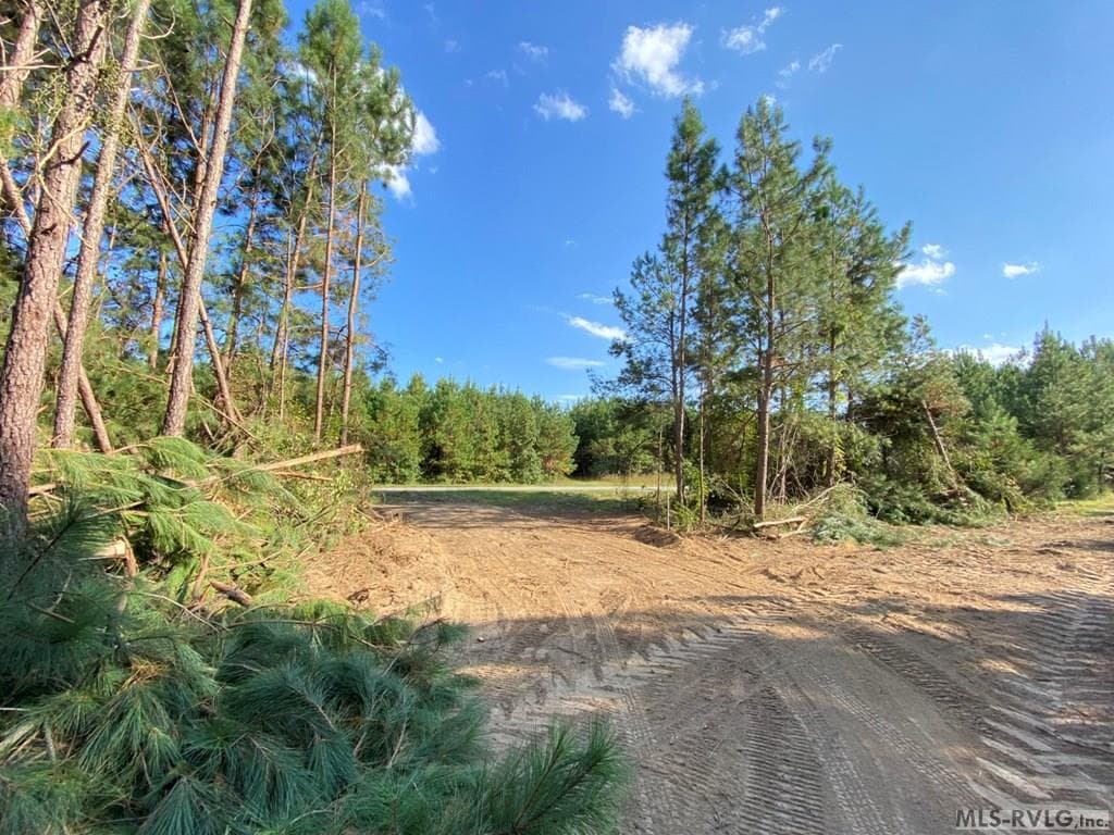 Acreage,Residential Lot-Restricted,Unimproved Land at Lot# 5 Christanna Hwy, Lawrenceville VA 23868, Lawrenceville, photo 8 of 21