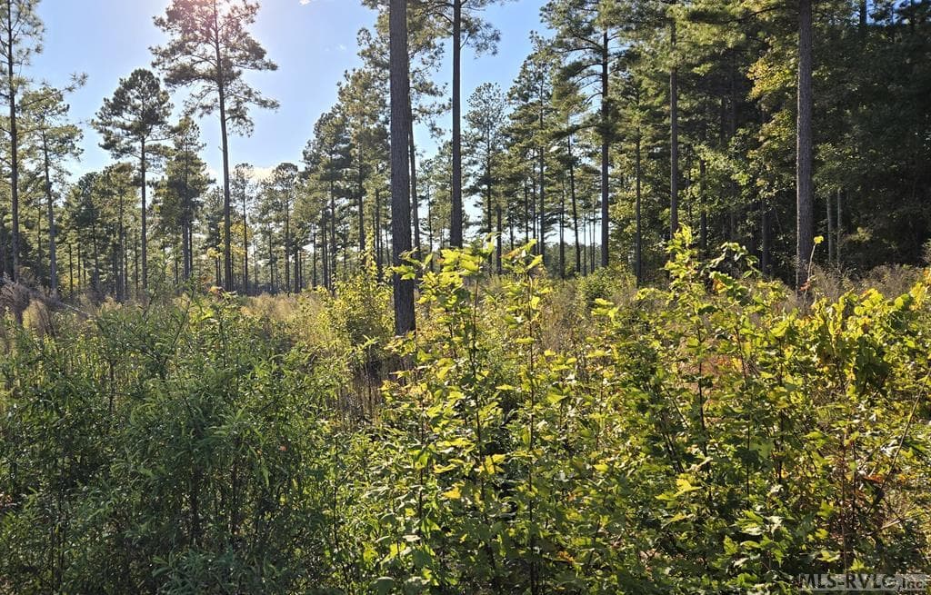 Lot 3 Christanna Hwy, Lawrenceville VA 23868