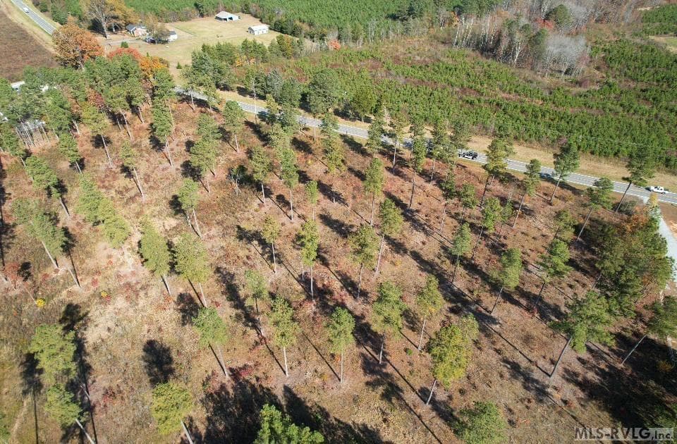 Residential Lot-Unrestricted,Double Wide Permitted,Modular On Frame Permitted,Unimproved Land at Lot 2 Christanna Hwy, Lawrenceville VA 23868, Lawrenceville, photo 6 of 6