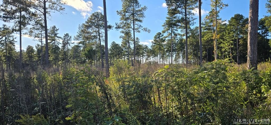 Residential Lot-Unrestricted,Double Wide Permitted,Modular On Frame Permitted,Unimproved Land at Lot 2 Christanna Hwy, Lawrenceville VA 23868, Lawrenceville, photo 3 of 6