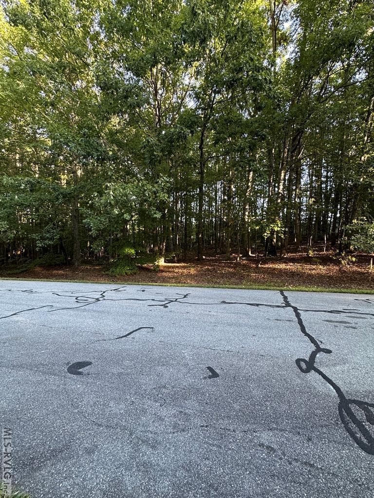 Lot 11 Waterside Dr, Henrico NC 27842 photo 3