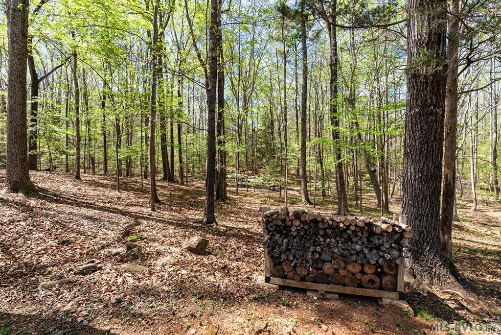 796 Tanglewood Drive, Bracey VA 23919 photo 55