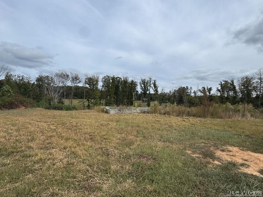468 Marrow Lane, Oxford NC 27565 photo 6