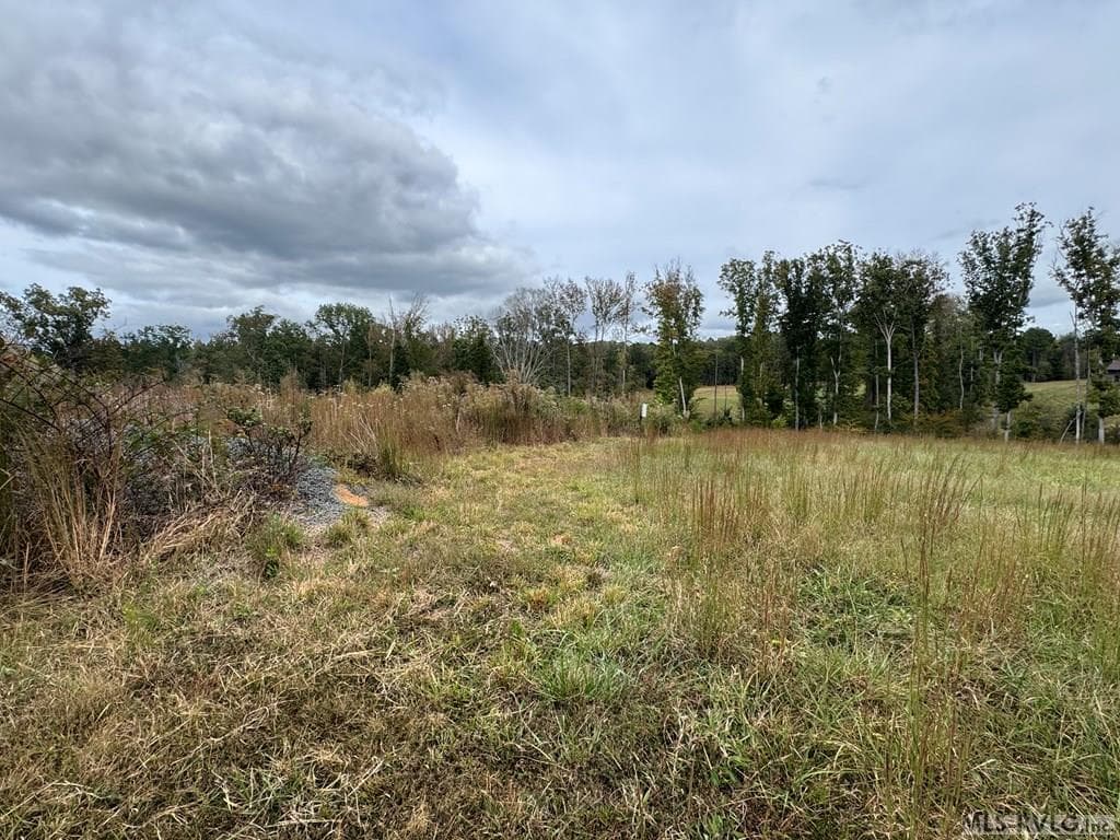 468 Marrow Lane, Oxford NC 27565 photo 13