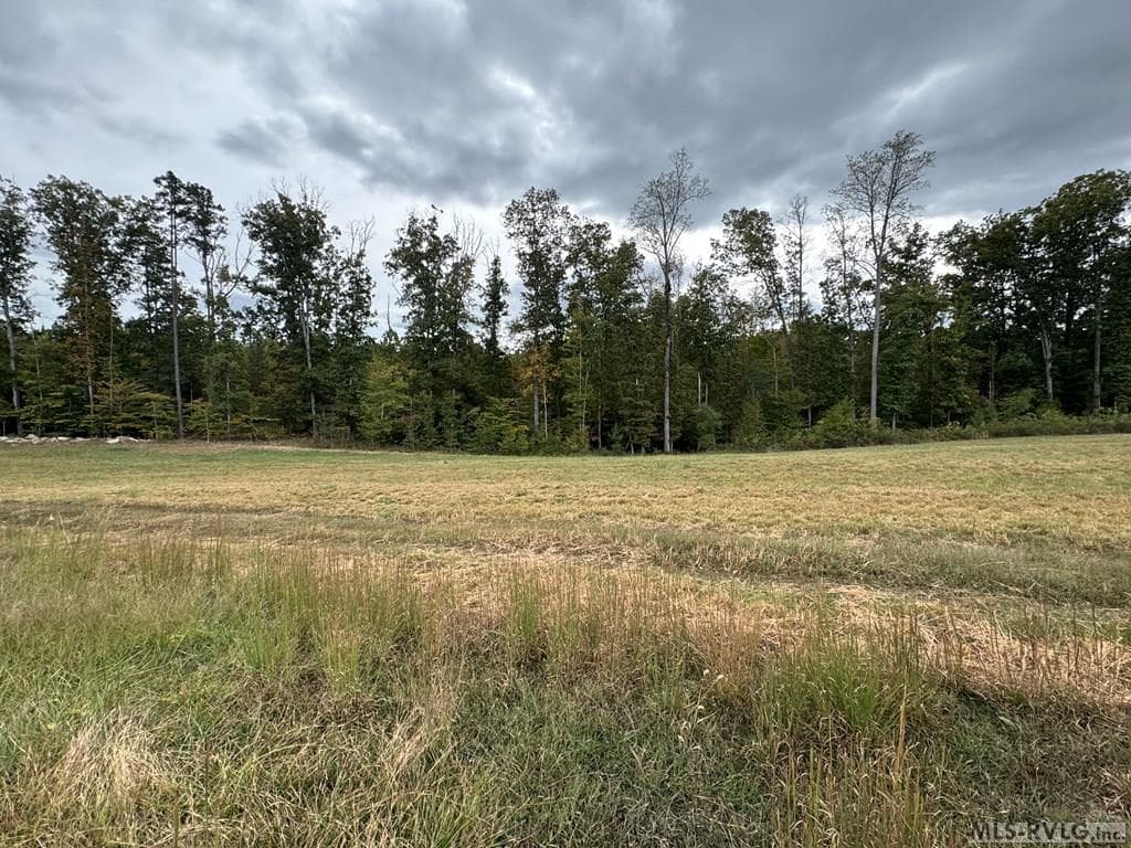 468 Marrow Lane, Oxford NC 27565 photo 16
