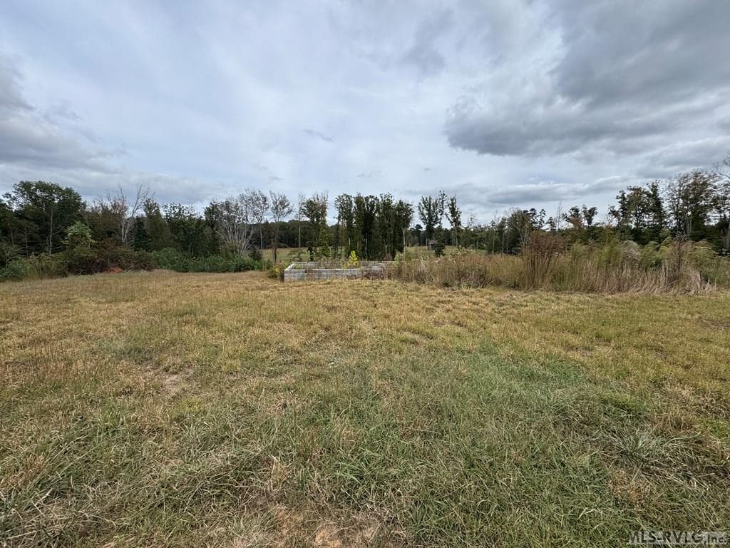 468 Marrow Lane, Oxford NC 27565 photo 9