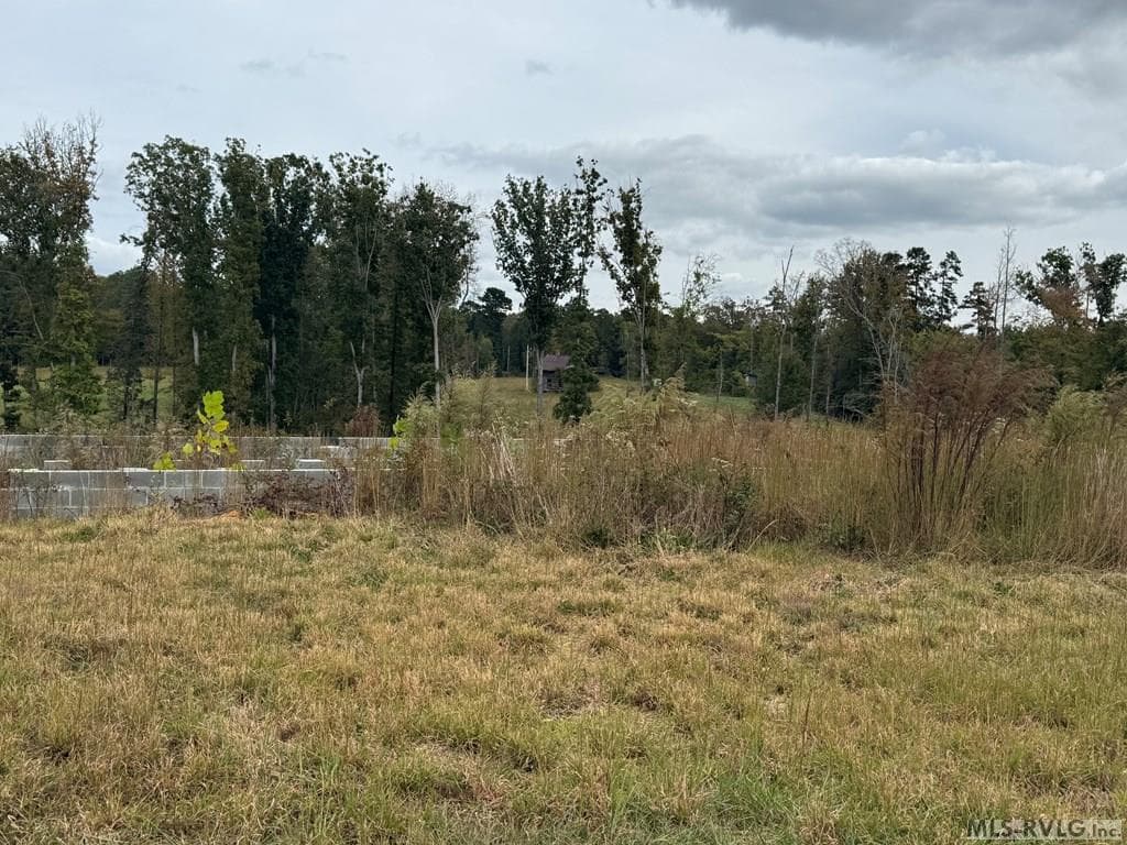 468 Marrow Lane, Oxford NC 27565 photo 8