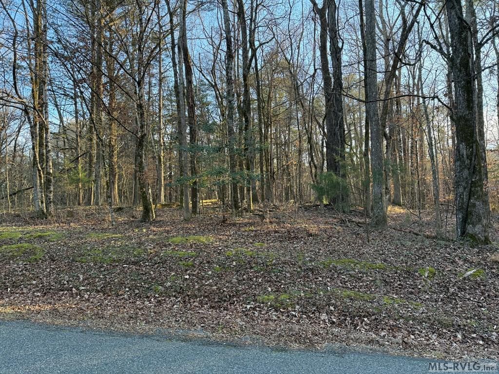 0 Woodland Rd, Littleton NC 27850 photo 5