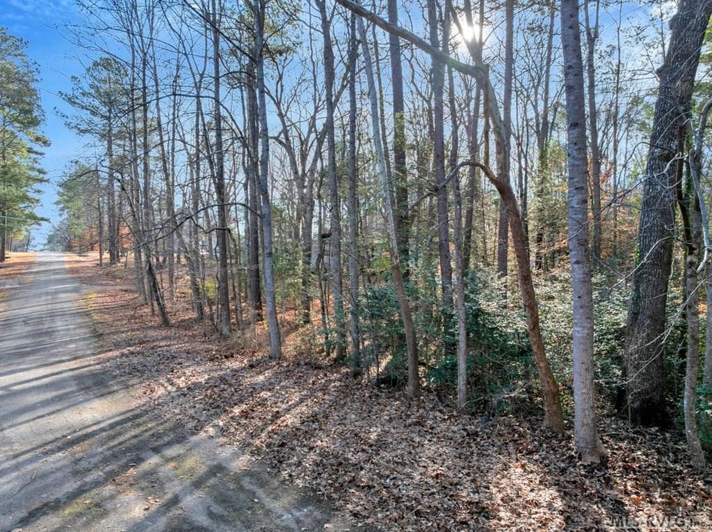 Residential Lot-Restricted,Unimproved Land at 0 Chestnut Drive, Bracey VA 23919, Bracey, photo 8 of 20