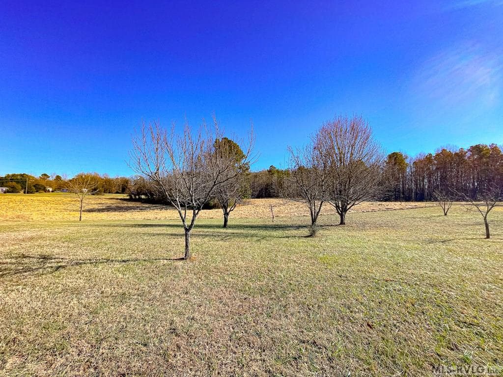 59 Taylor Farms Rd, Kenbridge VA 23944 photo 44
