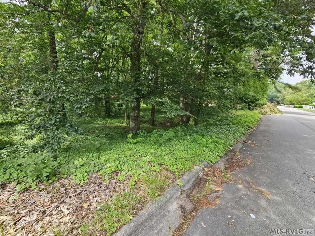 Lot 88R Old Farm Road, Roanoke Rapids NC 27870 photo 2
