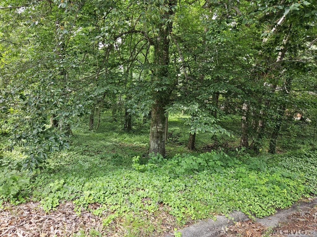 Lot 88R Old Farm Road, Roanoke Rapids NC 27870