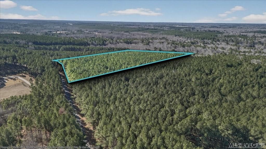 Acreage,Residential Lot-Restricted,Unimproved Land at 65 65 Granite Hall Dr, Boydton VA 23917, Boydton, photo 10 of 12