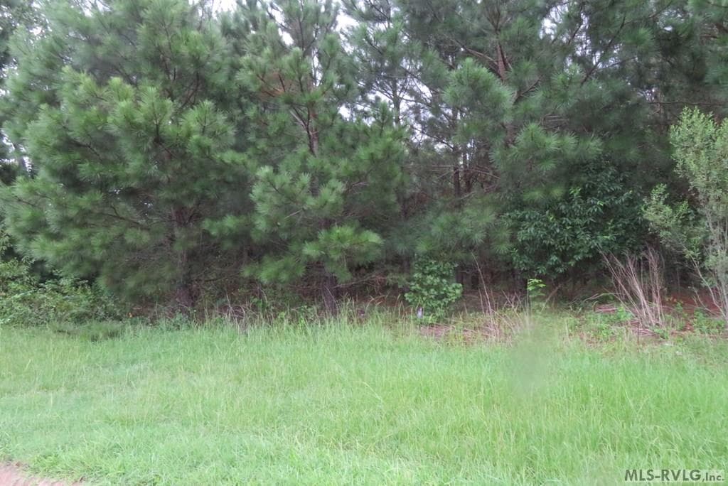 Lot 9 Carolina Crossroads Pkwy, Roanoke Rapids NC 27870 photo 7