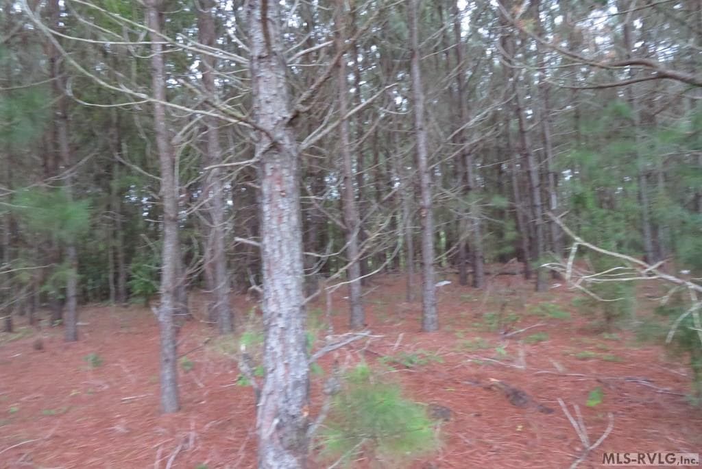 Lot 9 Carolina Crossroads Pkwy, Roanoke Rapids NC 27870 photo 4