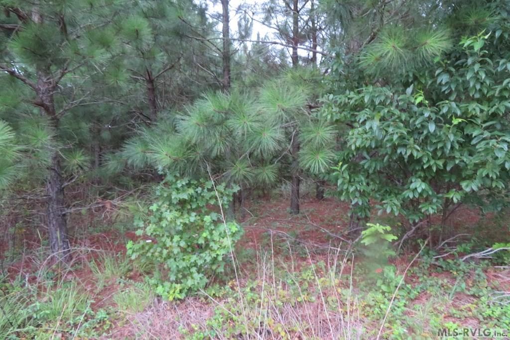 Lot 9 Carolina Crossroads Pkwy, Roanoke Rapids NC 27870 photo 8