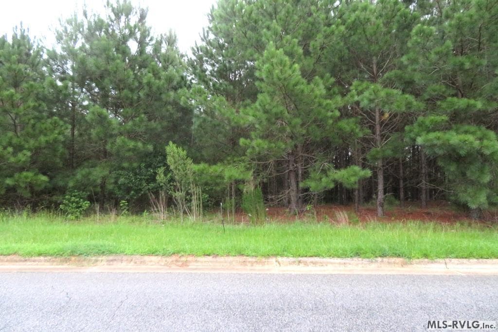 Lot 9 Carolina Crossroads, Roanoke Rapids NC 27870 photo 2