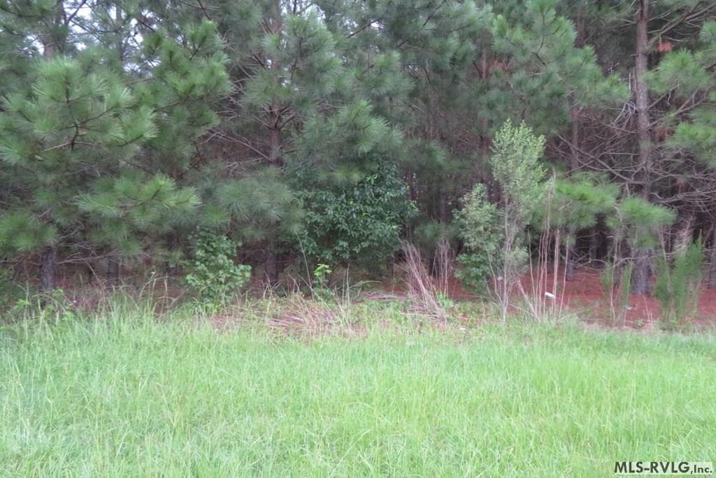 Lot 9 Carolina Crossroads, Roanoke Rapids NC 27870 photo 3