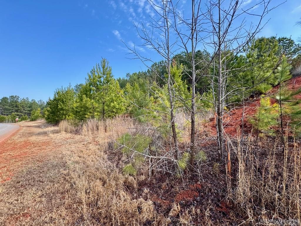 Front - Lot 21 Belle Grove Drive, Clarksville VA 23927, Clarksville
