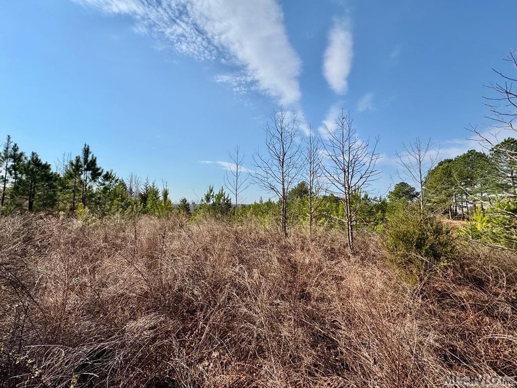 Back of lot - Lot 21 Belle Grove Drive, Clarksville VA 23927, Clarksville