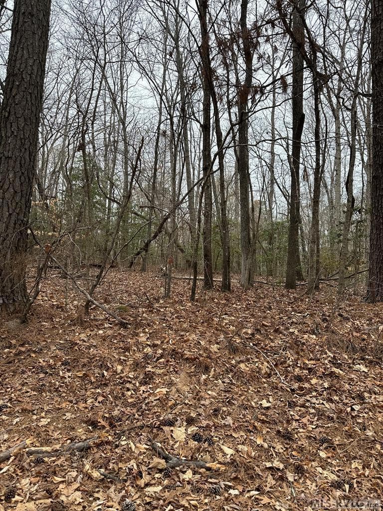 0 Occoneechee Trail, Henrico NC 27842