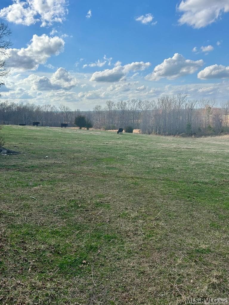 Acreage,Unimproved Land at 0000 Wightman Rd., Chase City VA 23924, Chase City, photo 5 of 7