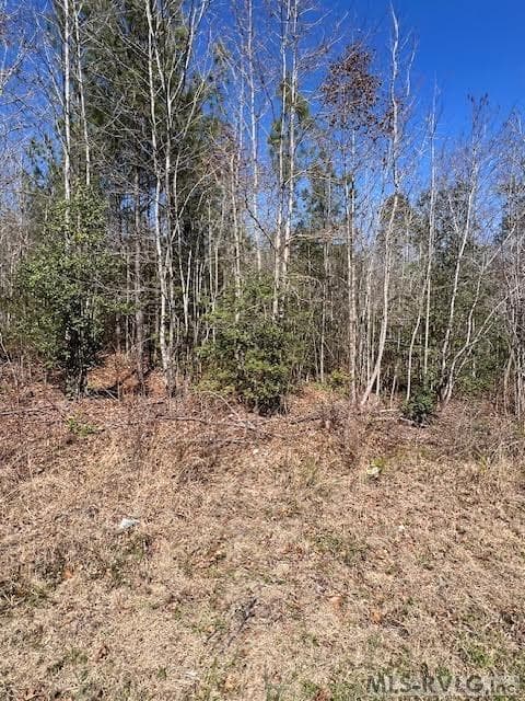 Acreage,Unimproved Land at 000 Greentown Drive, Lawrenceville VA 23868, Lawrenceville, photo 13 of 18