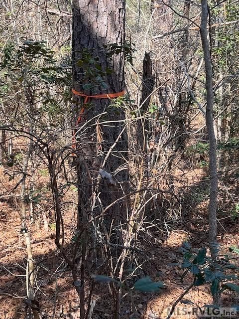 Acreage,Unimproved Land at 000 Greentown Drive, Lawrenceville VA 23868, Lawrenceville, photo 17 of 18