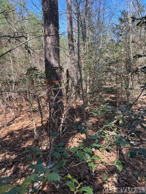 Acreage,Unimproved Land at 000 Greentown Drive, Lawrenceville VA 23868, Lawrenceville, photo 16 of 18
