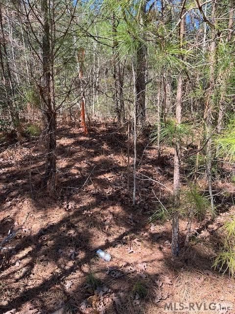 Acreage,Unimproved Land at 000 Greentown Drive, Lawrenceville VA 23868, Lawrenceville, photo 14 of 18